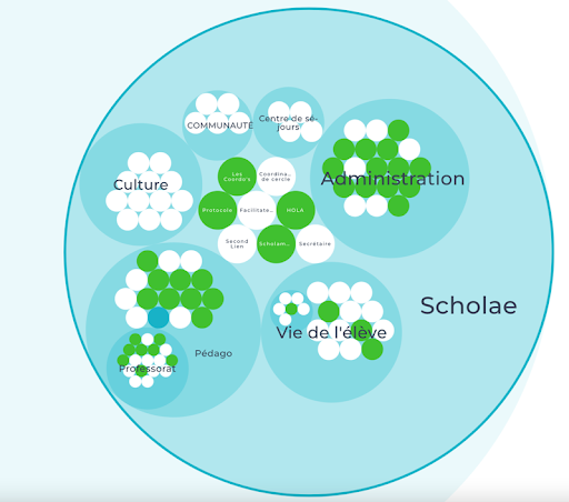 Organisation Scholae - vue d’ensemble