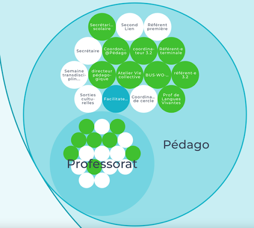 Zoom sur le pôle Pédago / Professorat